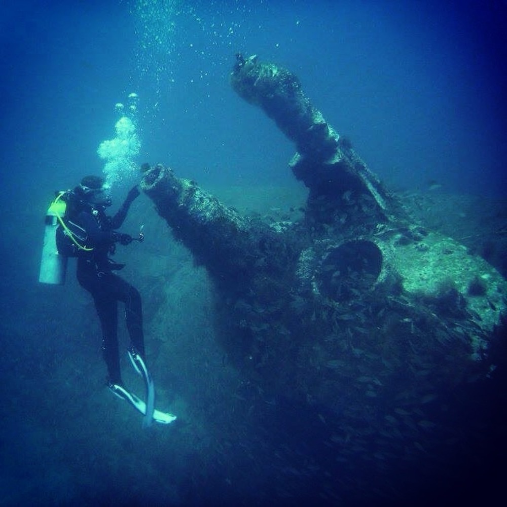 Dive Into Deals - Be Notified When I Go LIVE - Picture 5 of 10